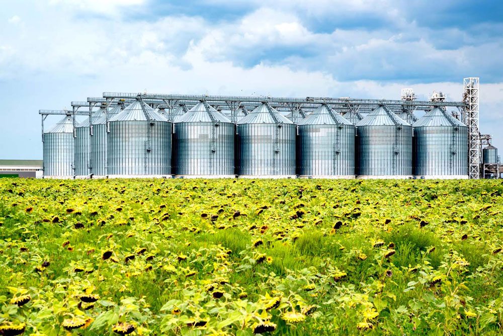 distant-view-of-sunflower-oil-refinery-in-a-field