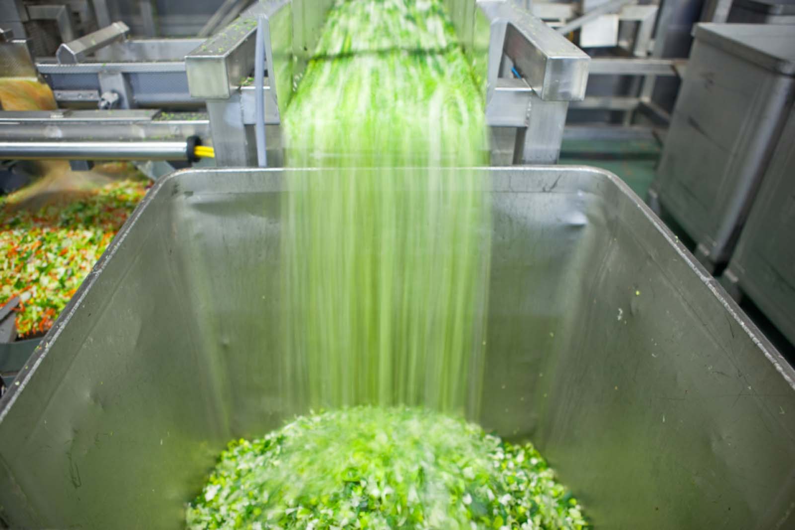 clean food