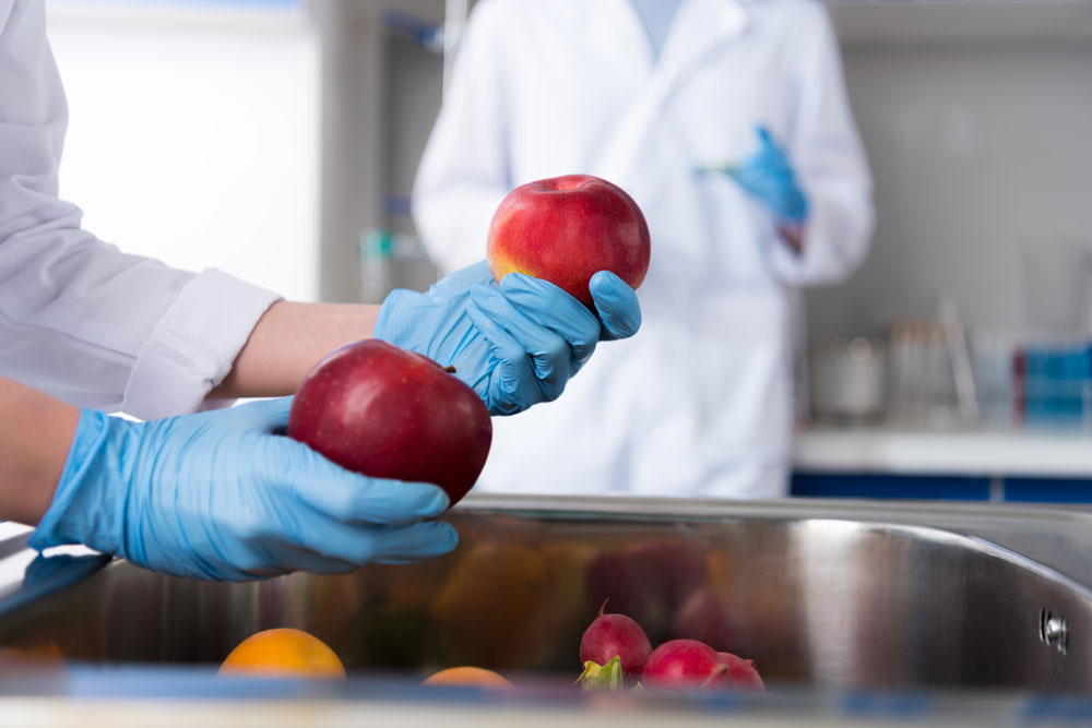 food safety check